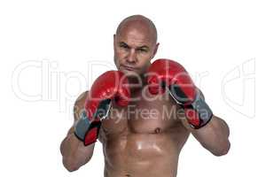 Portrait of bald boxer in red gloves