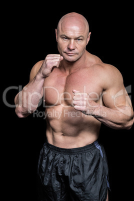 Portrait of bald man with boxing pose