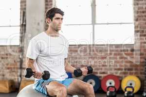 Man sitting on a bossu lifting dumbbells