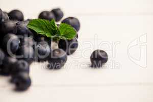 Fresh blueberries in close up