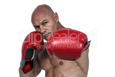 Portrait of boxer with fighting stance