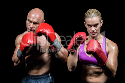 Portrait of boxers with gloves