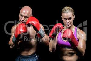 Portrait of boxers with gloves