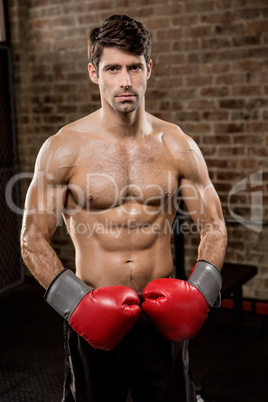 Portrait of a shirtless man wearing boxing gloves