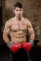 Portrait of a shirtless man wearing boxing gloves