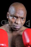 Portrait of serious bald boxer in red gloves