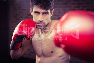 Portrait of a man wearing boxing gloves