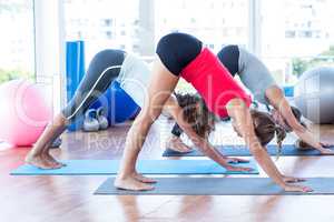 Side view of women doing downward pose