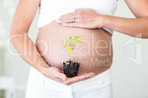 Midsection of woman with new plant