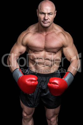 Portrait of boxer flexing muscles