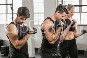 People exercising with dumbbell