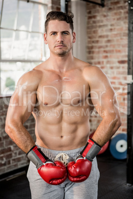 Portrait of a muscular man wearing red boxing gloves