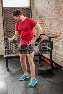 Focused muscular man lifting dumbbell