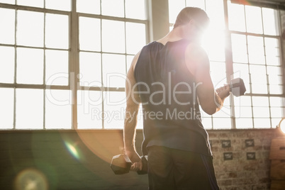 Rear view of muscular man lifting dumbbell