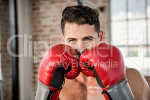 Portrait of muscular man wearing boxing gloves