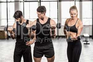 Fit people do some weightlifting together