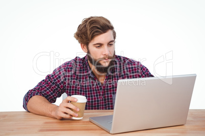 Serious hipster holding disposable cup working on laptop