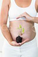 Pregnant woman holding plant
