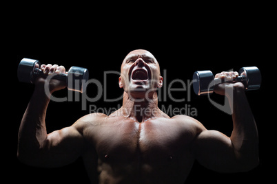 Aggressive bodybuilder lifting bumbbells