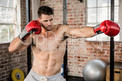 Muscular man wearing boxing gloves and posing