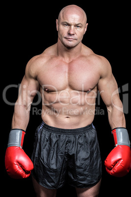 Portrait of bald man with boxing gloves