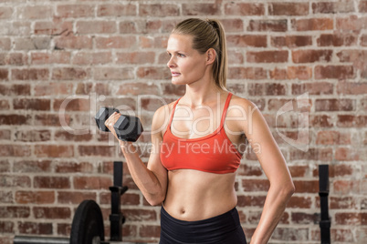 Fit woman exercising with dumbbell