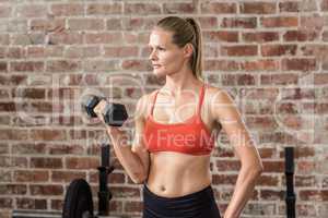 Fit woman exercising with dumbbell