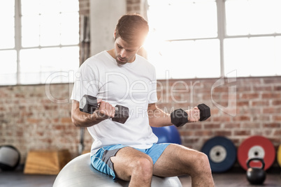 Man sitting on a bossu lifting dumbbells