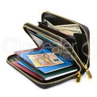 wallet with documents and money