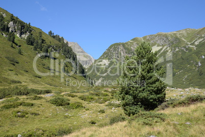 In den Stubaier Alpen