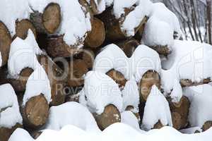 Snow covered stack of wood