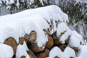 Snow covered stack of wood