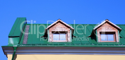 green roof on on house