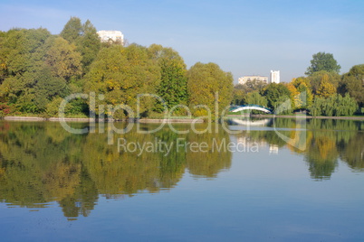 summer in city park