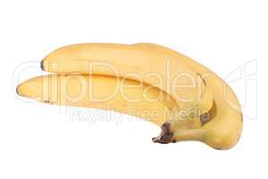 many yellow banana isolated