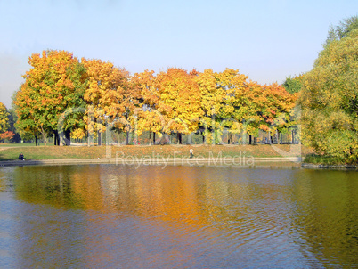 autumn in city park