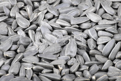 many of sunflower seeds