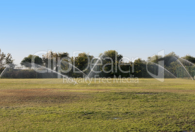 Pouring water of green lawn.design.landscape.Wet grass photo