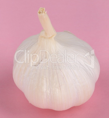 Garlic on Pink Background