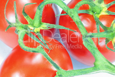 red tomato