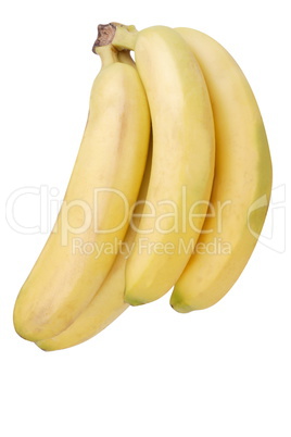 many yellow banana isolated