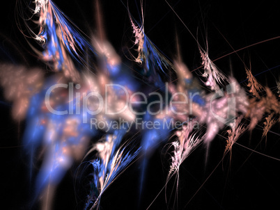 Digital Fractal on Black Digital Fractal on Black