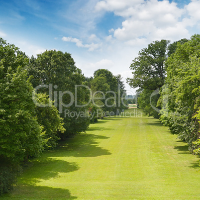 beautiful park and blue sky