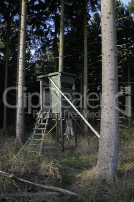 Hochsitz in einem Nadelwald