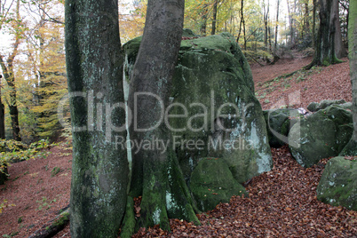 Landschaft an den Externsteinen im Herbst