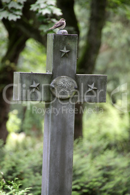 Spatz sitzt auf einem Grabkreuz