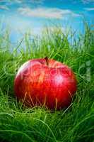 Apple on the grass