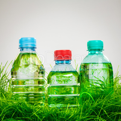 Water bottle on the grass