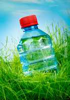 Water bottle on the grass