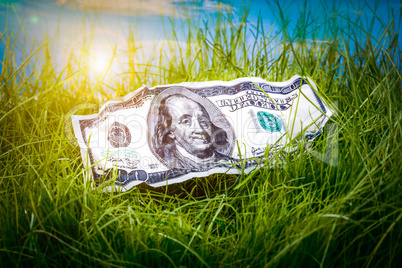Dollars in the green grass